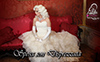 Sposa Son Disprezzata